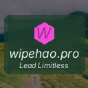 wipehao.pro