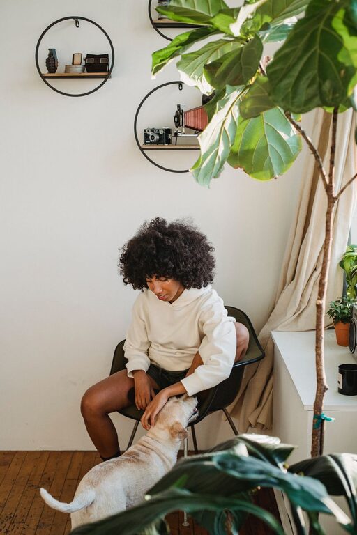How to Set Up a Cozy and Safe Pet-Friendly Home Corner